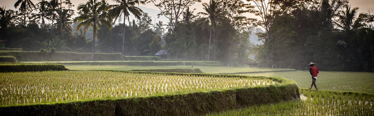 Destino barato Indonesia