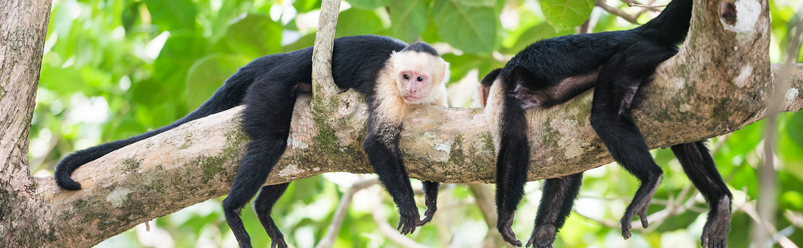 donde viajar en diciembre - costa rica