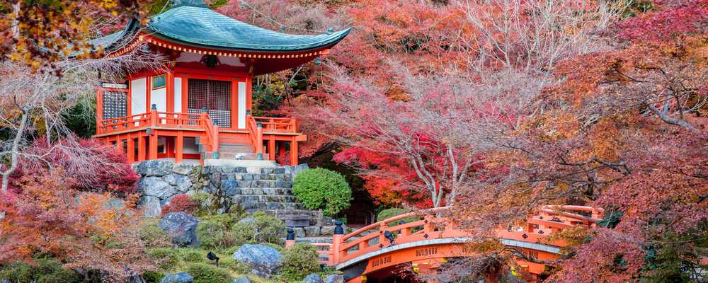 parque de Japon en Otoño_donde viajara en octubre