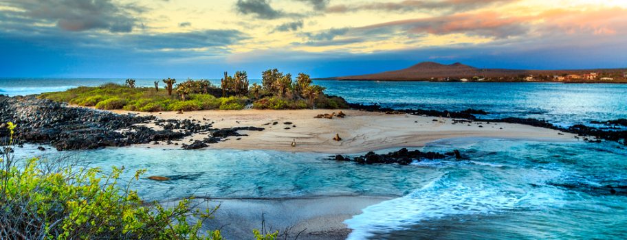 destinos turísticos en peligro de extincion_Islas Galapagos
