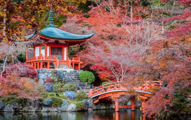 donde viajar en octubre_Japo_foto de jardin en otoño_enc