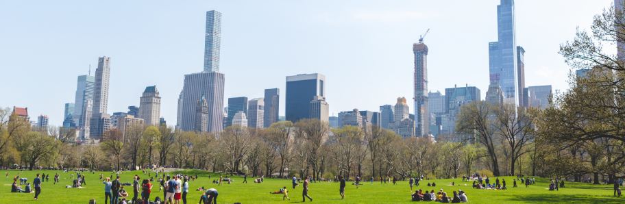 que ver en nueva york_central park