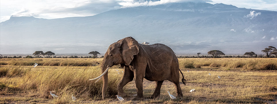 Viajar a Kenia: qué ver y hacer en este destino salvaje e inolvidable