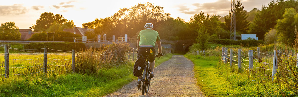 Rutas en bici por Nueva Zelanda - Nga Haerenga interior