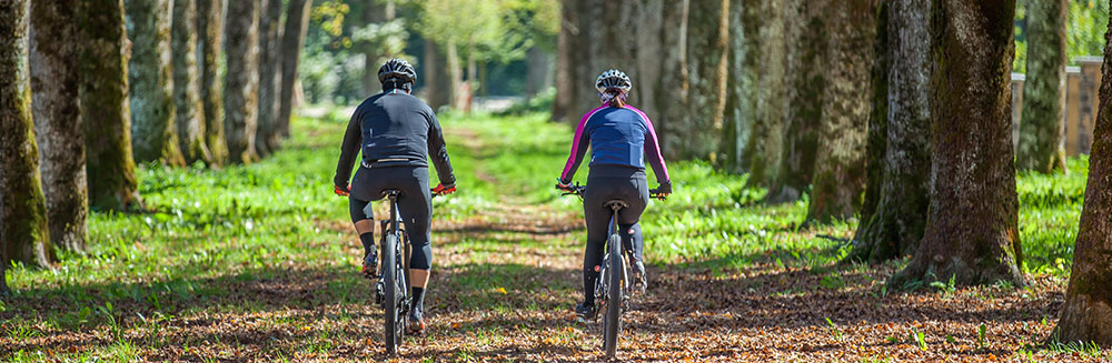 Rutas en bici por Nueva Zelanda - interior