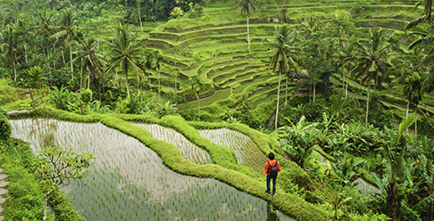 seguro de viaje bali