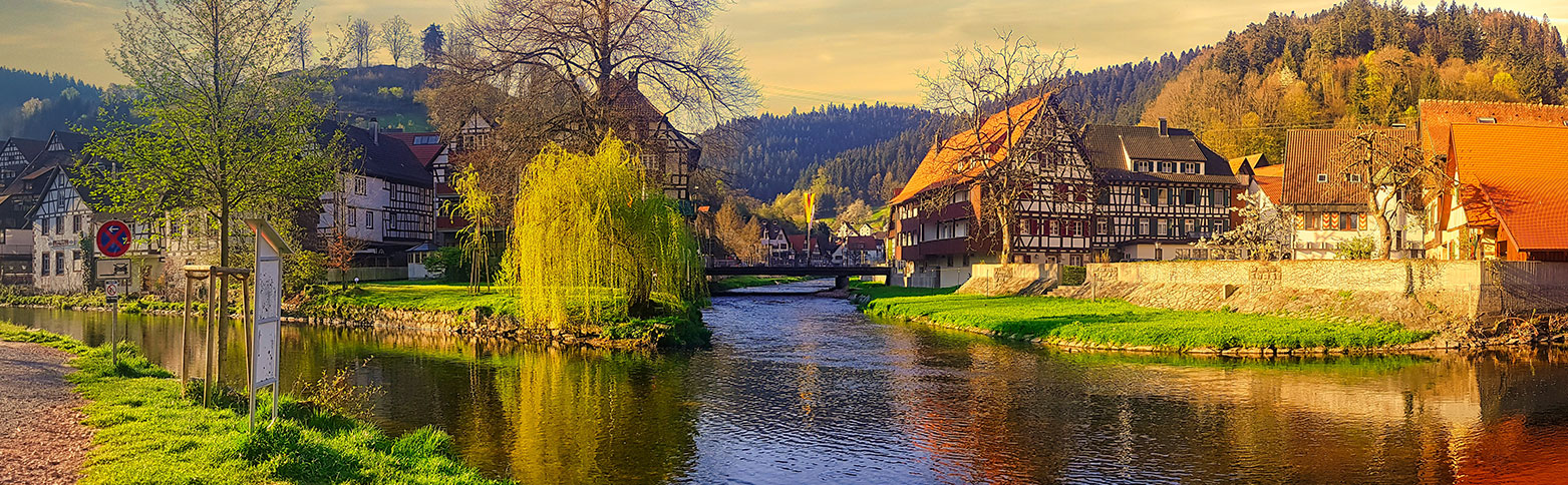 seguro de viaje a Francia