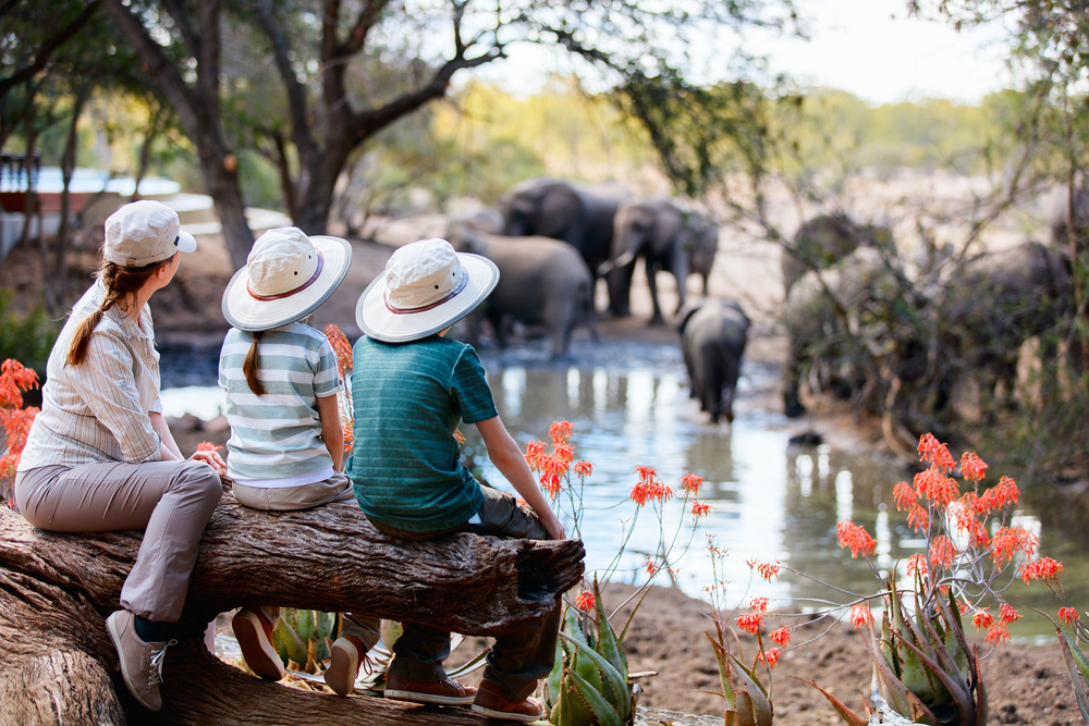 familia de safari