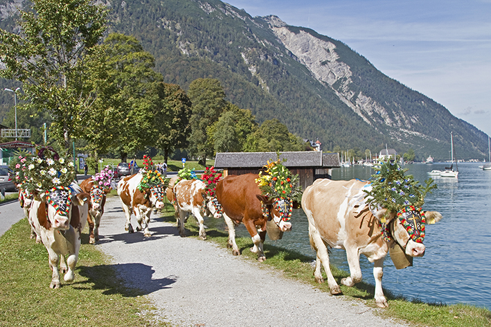 vacaciones_tirol_austria_Rosenkranzsamstag