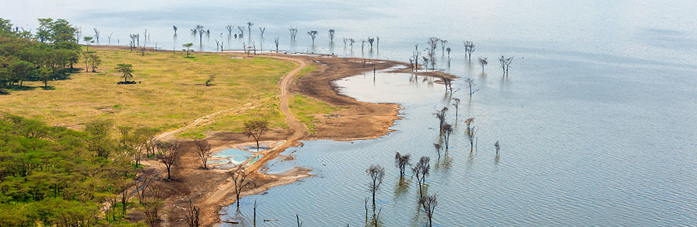 que ver en kenia - lago nakuru