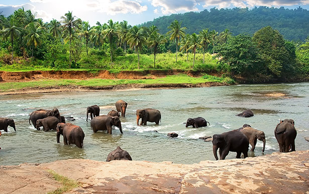 viajar a sri lanka - cabecera