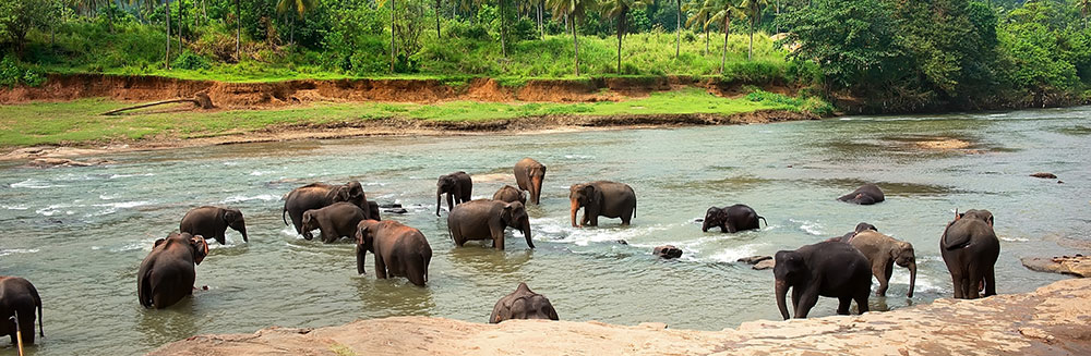 viajar a sri lanka - interior